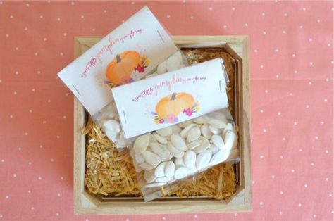 sweet-little-pumpkin-baby-shower-pumpkin-seeds #babyshowerideas4u #birthdayparty  #babyshowerdecorations  #bridalshower  #bridalshowerideas #babyshowergames #bridalshowergame  #bridalshowerfavors  #bridalshowercakes  #babyshowerfavors  #babyshowercakes Pumpkin Seed Favors, Pumpkin Themed Baby Shower Gifts, My Lil Pumpkin Baby Shower, Baby Shower Fall Theme, Pumpkin Themed Baby Shower Games, Donut Station, Pumpkin Theme Shower Favors, Baby Shower Little Pumpkin, My Little Punkin Baby Shower