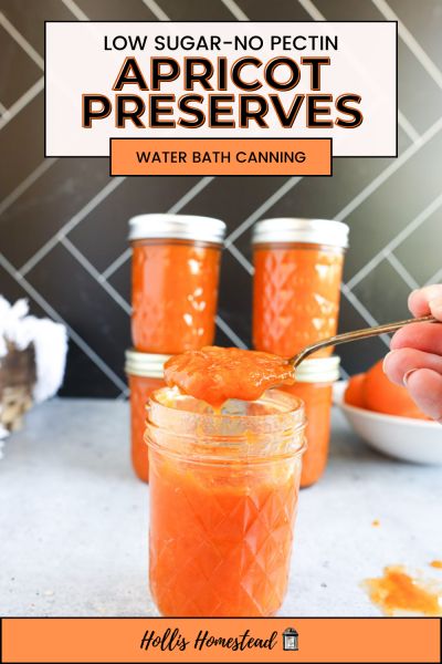 Low sugar no pectin apricot jam in a quilted jelly jar with a spoon full above it. Preserves behind stacked up in jars. Apricot Preserves Recipe, Canning Jam Recipes, Canning And Preserving, Apricot Preserves, Canning Recipe, Water Bath Canning, Healthy Family Dinners, Homemade Tomato Sauce, Apricot Jam