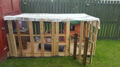 Pallet Rabbit Cage, Pallet Wood Rabbit Hutch, Pallet Rabbit Run, Diy Rabbit Run, Pallet Rabbit Hutch, Rabbit Colony, Outdoor Rabbit Run, Rabbit Cages Outdoor, Rabbit Enrichment