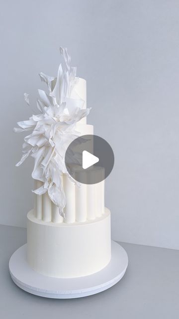 K CAKE on Instagram: "a white-on-white wedding cake , featuring ruffled textures and a scalloped border.  Inspired by @alcakemy & @sincerelysamcakes 🤍🤍🤍" Scallop Cake, K Cake, Scalloped Cake, Scalloped Border, Cake Wedding, White Wedding Cake, Scallop Edge, Scalloped Edge, White Wedding