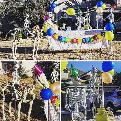 Day 20: Happy Birthday! Skeleton Yard Scenes, Skeleton Birthday Party, Birthday On Halloween, Skeleton Decorations Outdoor, Skeleton Scenes, Skeleton Birthday, 20 Happy Birthday, Skeleton Poses, Outdoor Skeleton