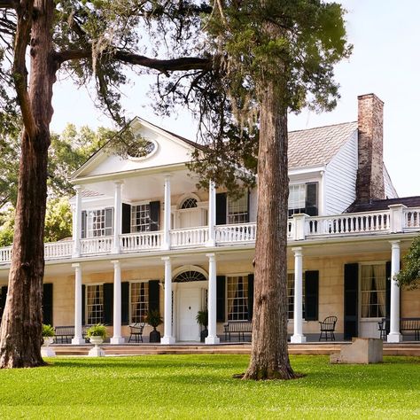 Stay and Enjoy the View in These Five Historic Natchez, Mississippi Homes Mississippi Homes, Corinthian Columns, Natchez Mississippi, Oxford Mississippi, Corinthian Column, Historic Architecture, Grand Homes, Mississippi River, Charleston South Carolina