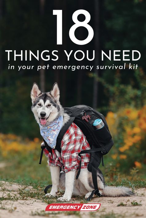 Dog Survival Kit, Dog Emergency Kit, Dog Emergency Go Bag, Puppy Binder, Survival Basics, Pet Emergency Kit, Emergency Go Bag, Nuclear Fallout, Doomsday Survival