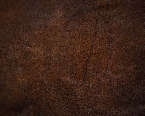 Dark Brown Leather Texture Photograph by Billnoll Leather Texture Seamless, Brown Fabric Texture, Brown Leather Texture, Material Board, Brown Texture, 3d Texture, Materials And Textures, Brown Aesthetic, Leather Texture