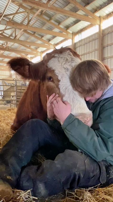 Houdini hugs make everything better. #foryou #cowtok #cowhugs #rescue #stlouissix Dog Hugging Human, Animal Cuddling, Cow Hugging, Hugs Make Everything Better, Hug Pics, Wych Elm, Dogs Hugging, Animal Hugs, Barn Animals