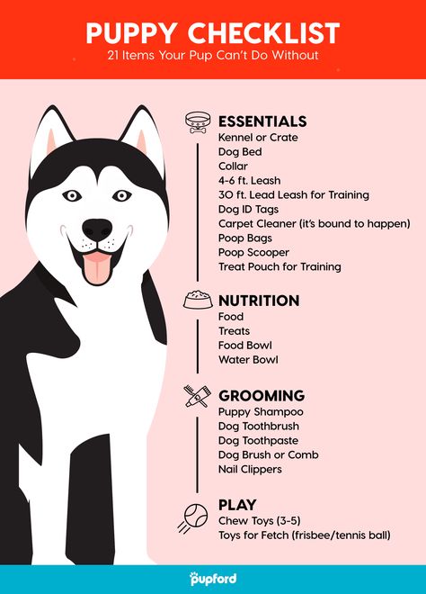 New Puppy Checklist, Puppy Checklist, Puppies Tips, Positive Dog Training, Easiest Dogs To Train, Dog Potty Training, Dog Potty, Puppy Training Tips, Getting A Puppy