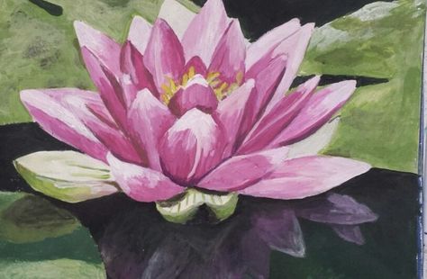 Water Lily Drawing, Lilies Drawing, Water Lilies Painting, Lotus Flower Art, Lotus Painting, Lily Painting, Plant Art Print, Lotus Art, Acrylic Painting Flowers