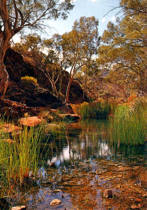 Australian Nostalgia, Aus Travel, Australian Gothic, Australian Adventures, Australian Scenery, Flinders Ranges, Simple Happiness, Australian Landscapes, Australia Landscape