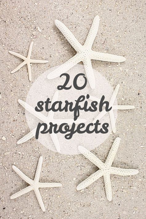 Seashell Projects, Nautical Crafts, Sea Stars, Beachy Decor, Beach Diy, Coastal Christmas, Beach Crafts, Seashell Crafts, Shell Crafts