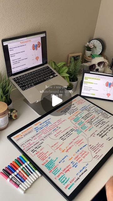 Razel | D2 Dental Student on Instagram: "one of my favorite study methods is using my whiteboard for active recall! 🧠 i jot down everything i know about a topic before a test, which helps me distinguish what i know from what i don’t. for the topics i need to study more, i write them down repeatedly until i understand them! ✨  • • •  #dentalstudent #dentalstudents #dentalschool #dentalschools #predental #predent #whiteboard #whiteboardstudy #whiteboardstudying #whiteboardnotes #studying #studygram #studytips #studyhacks #studymotivation #studynotes #studyaesthetic" Whiteboard For Studying, Whiteboard Method Studying, Whiteboard Study Method, Active Recall Study Method, Whiteboard Studying, Whiteboard Aesthetic, Whiteboard Notes, Aesthetic Essentials, Active Recall