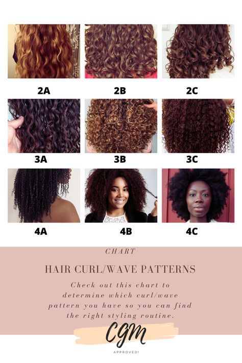 Type Of Curly Hair Chart, Curly Hair Texture Chart, Curl Levels Chart, Curly Hair Chart Curl Pattern, Curly Hair Levels Chart, Volume Vs Definition Curly Hair, Curly Hair Pattern Chart, Hair Curl Type Chart, Curly Hair Types Charts Curls