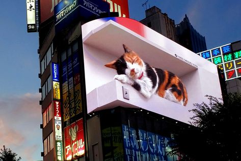 New Tokyo Landmarks near Shibuya and Shinjuku Stations | The Official Tokyo Travel Guide, GO TOKYO Giant Cat, Calico Cat, Digital Signage, Cat Pin, Tokyo Japan, Exhibition Design, Bored Panda, Kyoto, How To Fall Asleep