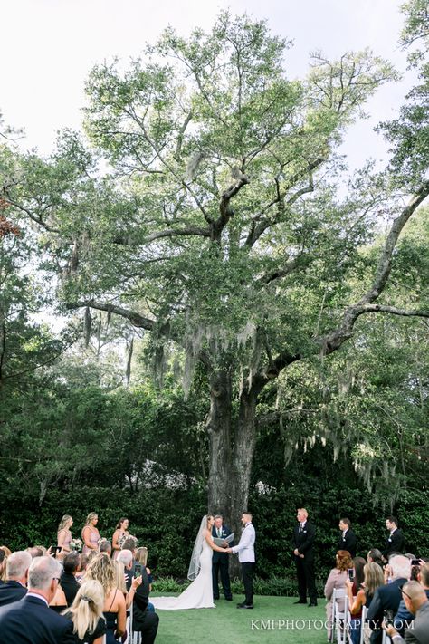 Wrightsville Manor Wedding, Wrightsville Manor, Wilmington Nc Wedding, Vow Exchange, Reception Inspiration, Wedding Reception Inspiration, Waterfront Wedding, Manor Wedding, May Weddings