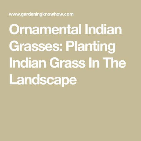 Ornamental Indian Grasses: Planting Indian Grass In The Landscape Grass Planting, Native Gardens, In Home Garden, Native Garden, Grasses, The Landscape, Planting, Borders, Landscaping