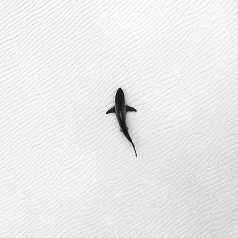 Ocean Tattoos, Shark Tattoos, Small Tattoos For Guys, Cute Simple Wallpapers, Great White Shark, Simple Wallpapers, Bw Photo, Tattoos For Men, Cool Walls