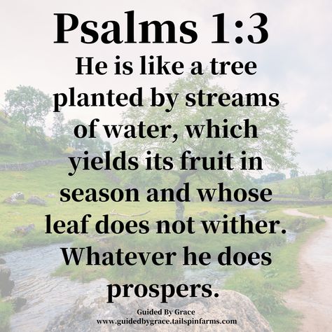 START YOUR DAY RIGHT DAILY DEVOTION STREAMS OF WATER / PSALMS 1:3 Those who faithfully pursue a deeper relationship with, and a better understanding of God’s Word will find guidance from the Holy Spirit...Continue Reading. https://guidedbygrace.tailspinfarms.com/streams-of-water-psalms-13/ #guidedbygrace #psalms1v3 #psalms #streams #of #water #continuereading #dailydevotion #share Youtube Guide, Help Me God, Scripture Images, Christian Quotes Wallpaper, Psalm 1, Streams Of Water, Daily Devotion, Niv Bible, Bible Study Tools