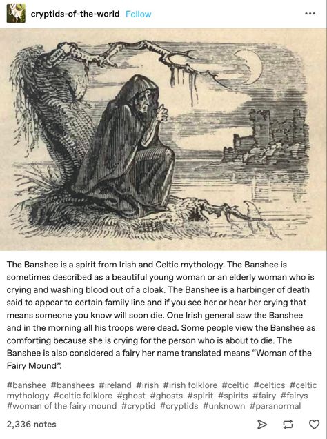 banshee irish spirit Banshee Irish Mythology, Banshee Art Mythology, Irish Mythology Art, Appalachian Folklore Creatures, Scottish Folklore Celtic Mythology, Banshee Folklore, Banshee Tattoo Irish, Celtic Folklore Creatures, Irish Monsters