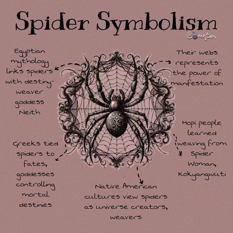 🕷️🕸️In some spiritual traditions, a spider crawling on you may be seen as a sign of good luck or fortune. This may be particularly true if the spider appears unexpectedly or in a place where spiders are not usually found. In addition to their symbolism and role in folklore, spiders also have spiritual meanings in many cultures. In some Native American cultures, spiders are seen as protectors and guardians of the home, while in Hinduism, spiders are associated with the third eye and the abili... Spiders Symbolism, Spider Symbolism Meaning, Animals And Their Symbolism, Omens Signs Symbols, Spider Witchcraft, Spider Spiritual Meaning, Spider Meaning, Animal Omens, Spider Symbolism