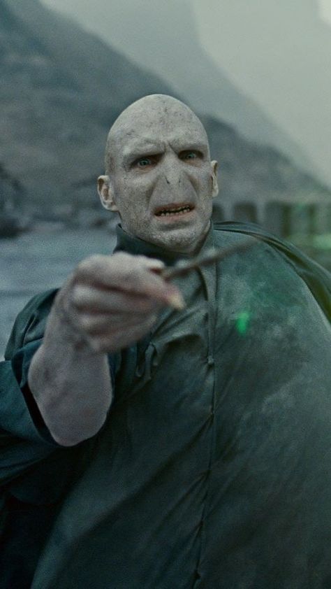 Voldemort Wallpaper, Rogue Harry Potter, Harry Potter Voldemort, Snape Harry Potter, Snape Harry, Potter Facts, Newt Scamander, Bellatrix Lestrange, Tom Riddle