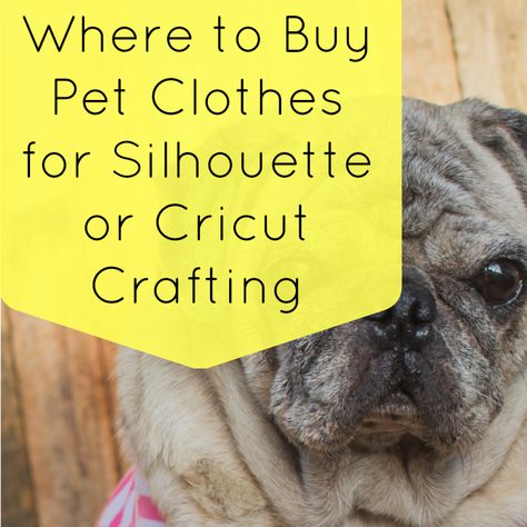 Looking for blank dog shirts to put heat transfer vinyl on? Read this list, then start shopping! Cricut Small Business, Silhouette Curio, Dog Shirts, Dog Projects, Diy Jewelry Findings, Silhouette Cameo Projects, Dog Obedience, Dog Training Obedience, Diy Shirt