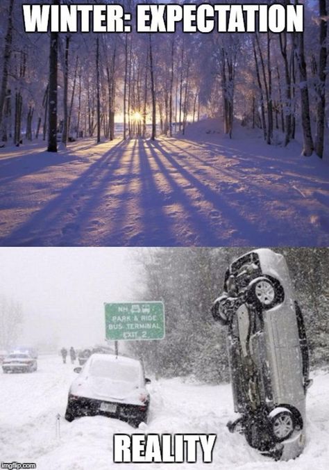 55 Funny Winter Memes That Are Relatable If You Live in the North Winter Humor, Alaska Winter, Hate Winter, Expectation Reality, Polar Vortex, Expectation Vs Reality, Funny Animal Memes, Winter Is Coming, Animal Memes