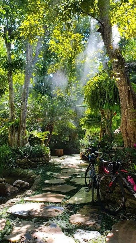 Rainforest Landscape Design, Rainforest Garden Ideas, Jungle Backyard Ideas, Rainforest Cabin, Rainforest House, Indoor Rainforest, Rainforest Home, Flower Arrangements Spring, Rainforest Garden