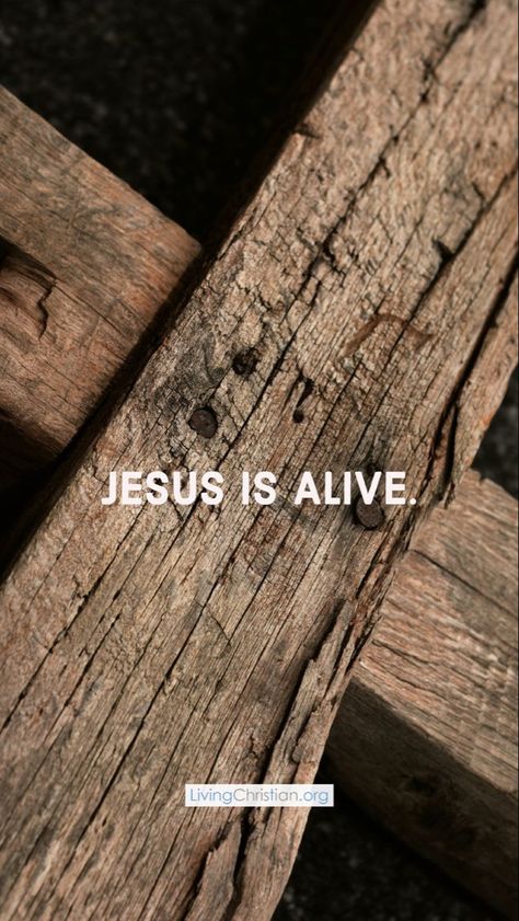 #Jesus #heisrisen Jesus Is Alive Wallpaper, He Is Alive Jesus, Bible Photos, Jesus Is Alive, Bible Journal Notes, Word Of Faith, In Christ Alone, Jesus Lives, Lord And Savior