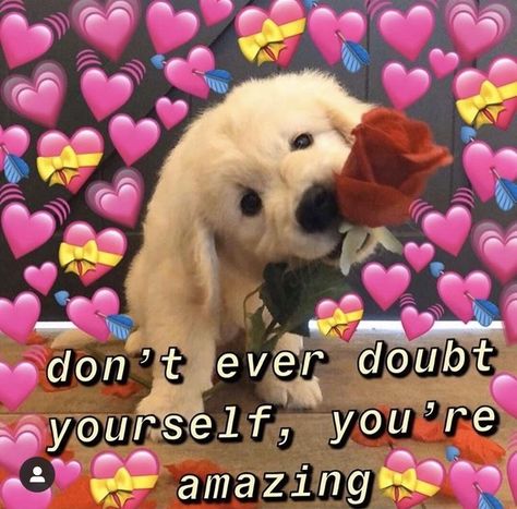 Wholesome Pictures, Cute Love Memes, Cute Texts For Him, Cute Messages, Lovey Dovey, Follow My Instagram, Cute Memes, Wholesome Memes, Love Memes