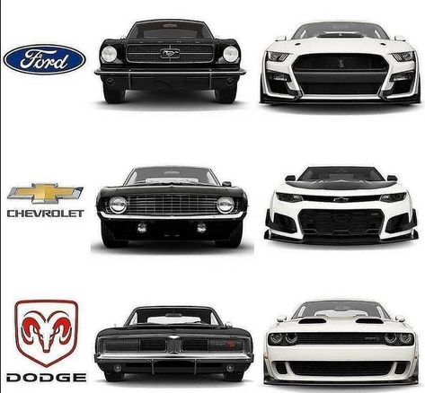 Modern Muscle Cars, Car Facts, Super Fast Cars, Dodge Vehicles, Custom Pickup Trucks, Chevrolet Pickup, Custom Muscle Cars, Pretty Cars