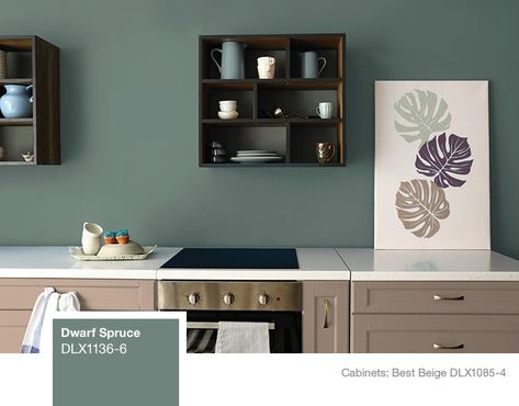 Dulux Kitchen Cabinets Paint Colors, Dulux Kitchen Paint Colour, Kitchen Paint Ideas Walls Colour Schemes, Dulux Kitchen Paint, Kitchen Paint Colours, Kitchen Paint Color Ideas, Dulux Colour Schemes, Paint Colour Ideas, Kitchen Paint Color