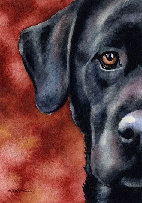 Black Lab Print Labrador Nero, Black Lab Art, Contemporary Watercolor Art, Black Labs Dogs, Labrador Noir, Lab Art, Labs Art, Lab Dog, Black Labrador Retriever