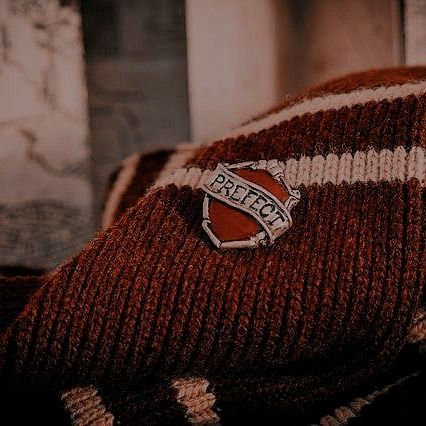 @knoxturnally #harrypotteraesthetic #gryffindoraesthetic #slytherinaesthetic #weasleysweater #weasleytwins Weasley Sweater, Sweater Ornaments, Rabastan Lestrange, Gryffindor Pride, Gryffindor Aesthetic, Harry Potter Wall, Harry Potter Icons, Harry Potter Houses, Hogwarts Aesthetic