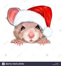 Cartoon Mouse Wearing Santa Hat High Resolution Stock Photography and Images - Alamy Big Christmas Gifts, Mouse Sketch, Mouse Paint, Santa Cap, Mouse Silhouette, Christmas Tree With Presents, Mouse Drawing, Santa Claus Hat, Christmas Card Art