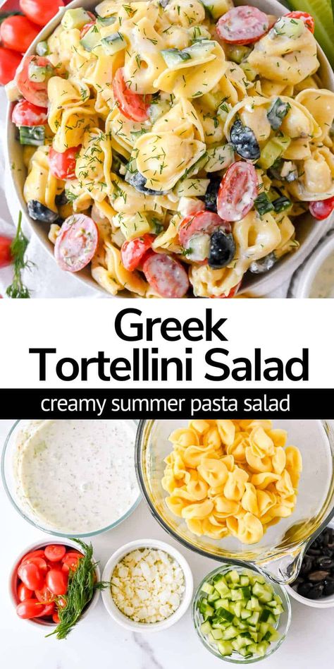 Greek tortellini pasta salad with fresh and tasty Greek yogurt dressing, crunchy veggies, and cheese tortellini pasta will be your best easy potluck recipe or summer side dish! Pasta Veggie Salad Recipes, Healthy Summer Potluck Dishes, Quick Summer Recipes, Cold Dishes For Potluck Easy Recipes, Cold Healthy Pasta Salad Recipes, Summer Tortellini Recipes, Healthy Pot Luck Dishes, Healthy Summer Dinner Recipes For Family, Cottage Dinners