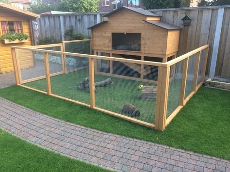 Outside Rabbit Enclosure Ideas, Rabbit Cage Ideas Outdoor, Rabbit Pen Outdoor, Bunny Cages Outdoor, Rabbit Run Ideas, Rabbit Enclosure Outdoor, Bunny House Outdoor, Outdoor Bunny Habitat, Rabbit House Outdoor