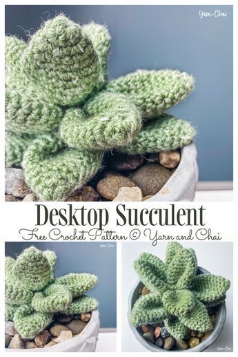 Crochet Cactus Free Pattern, Bunny Ear Cactus, Crochet Succulent, Potted Cactus, Crochet Cactus, Crochet Plant, Diy Magazine, Crochet Home Decor, Amigurumi Free