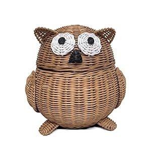 Storage Basket With Lid, Storage Baskets With Lids, Rattan Storage, Brown Owl, Basket With Lid, Shelf Organizer, Hoot Owl, Wicker Decor, Nursery Essentials