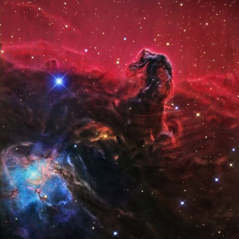 The Horsehead Nebula is a dark nebula in the constellation Orion. It is approximately 1500 light years from Earth. Dark Nebula, Sky Watching, Horsehead Nebula, Heavenly Creatures, Orion Constellation, Constellation Tattoo, Hubble Images, Orion Nebula, Space Photography