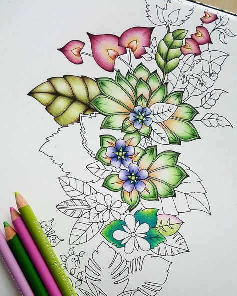 Magic Jungle, Magical Jungle Johanna Basford, Enchanted Forest Coloring Book, Joanna Basford Coloring, Enchanted Forest Coloring, Magical Jungle, Joanna Basford, Colored Pencil Tutorial, Johanna Basford Coloring Book