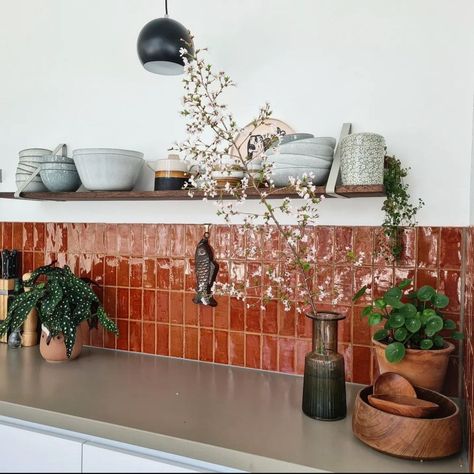 Terracotta Kitchen Backsplash, Terracotta Backsplash Kitchen, Terracotta Kitchen Walls, Terracotta Kitchen Tiles, Terracotta Kitchen, Kitchen Wall Tiles, Kitchen Tiles, Kitchen Colors, Dream House Decor