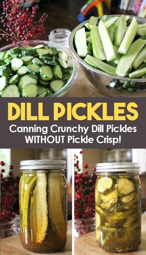 Dill Pickles Canning, Crispy Dill Pickles, Crunchy Dill Pickles, Canning Pickles Recipe, Dill Pickle Spears, Pickles Canning, Making Dill Pickles, Water Bath Canning Recipes, Dill Pickle Recipe