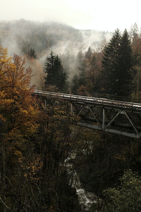 gray metal bridge over river photo – Free Tree Image on Unsplash Bridges Aesthetic, Fall Vibes Wallpaper Iphone, Bridge In Forest, Fall Background Wallpaper, Autumn Wallpapers, Foggy Bridge, Fall Backgrounds Iphone, Bridge Wallpaper, Black And White Bridge Photography