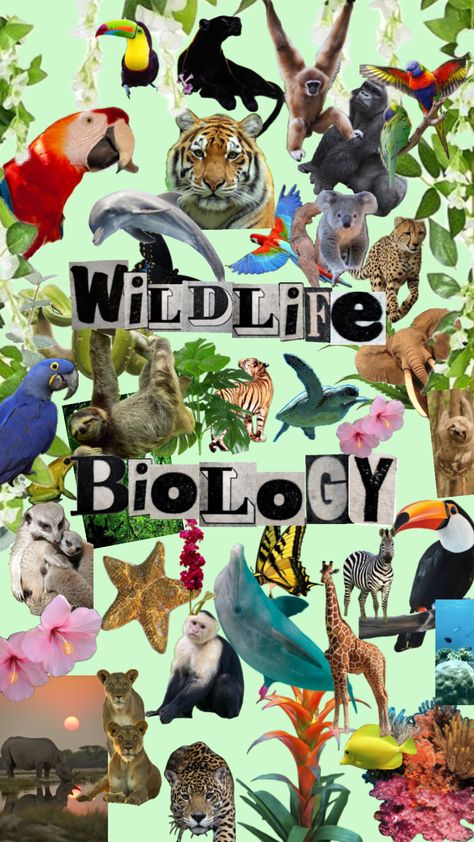 Wildlife Biologist Aesthetic Wallpaper, Wildlife Biologist Career, Wildlife Rehabilitation Aesthetic, Wildlife Biology Aesthetic, Zoology Wallpaper, Wildlife Biologist Aesthetic, Zoologist Aesthetic, Zoology Aesthetic, Zoology Career