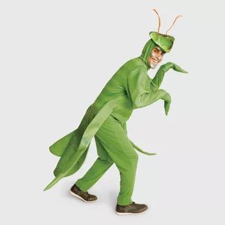 Men's Halloween Costumes : Target Mantis Halloween Costume, Praying Mantis Costume, Mantis Costume, Bug Costume, Recycled Dress, Bodysuit Designs, Praying Mantis, Fancy Dress For Kids