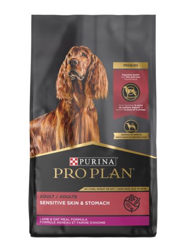 Pro Plan Sensitive Skin & Stomach Lamb Dry Dog Food | Purina High Protein Dog Food, Rich Dog, Oat Meal, Sources Of Carbohydrates, Salmon Rice, Premium Dog Food, Pro Plan, Canned Dog Food, Salmon And Rice