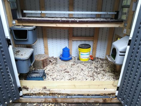 Resin Shed Chicken Coop, Shed Coop, Shed Conversion, Shed Chicken Coop, Resin Sheds, Shed Designs, Shed Windows, Roofing Nails, Urban Backyard