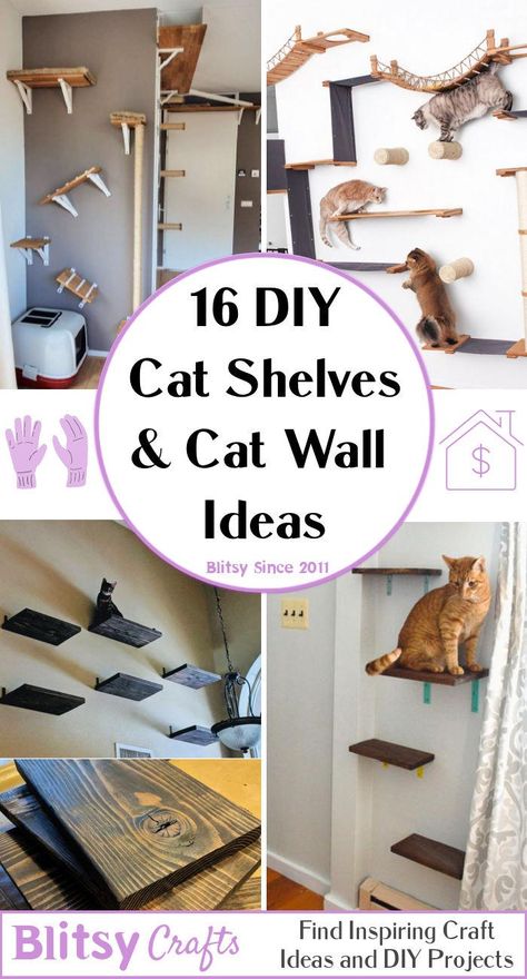 16 Creative DIY Cat Shelves and Cat Wall Ideas - Blitsy Cat Room Shelves, Cat Stands Diy, Cat Scratching Post Wall, Easy Cat Shelves Diy, Indoor Cat Shelves, Cat Wall Diy Cheap, Cat Wall Small Space, Rental Friendly Cat Shelves, Diy Cat Wall Shelves Small Spaces