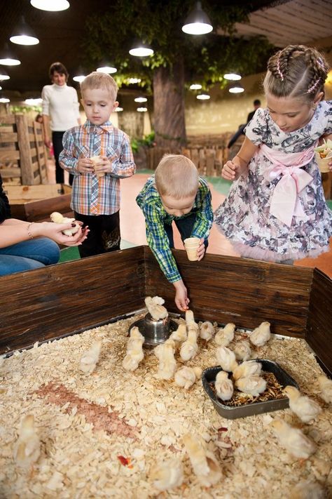 Zoo For Kids, Community Space Design, Agritourism Farms, Farm Lessons, Zoo Park, Farm Day, Farm School, Mini Cows, Farm Games