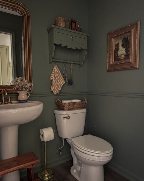 Half Bath Gold Accents, Powder Bath Paint Ideas, Tiny Bathroom Aesthetic, Green Bathroom With Gold Accents, Cottage Half Bath, Cabin Powder Room, Dark Green Small Bathroom, Half Bath Paint Ideas, Powder Room Moody