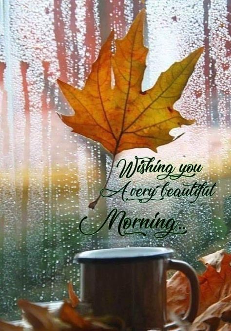 Fall Good Morning, Rainy Good Morning, Good Morning Rainy Day, Rainy Day Quotes, Rainy Autumn, Rainy Fall, Good Morning Post, Good Day Sunshine, Cups Of Coffee